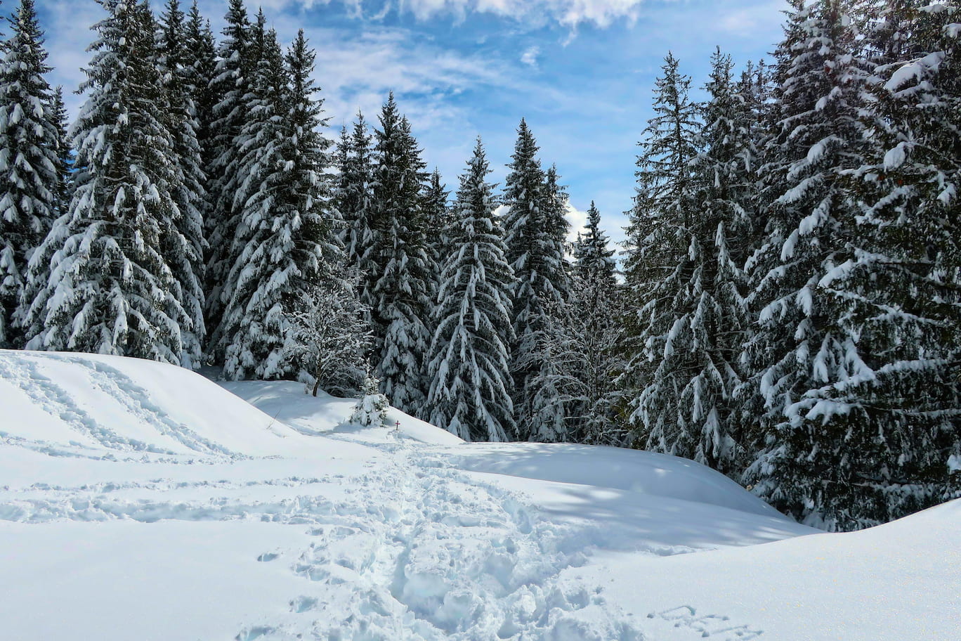 Cold Plunge Maintenance