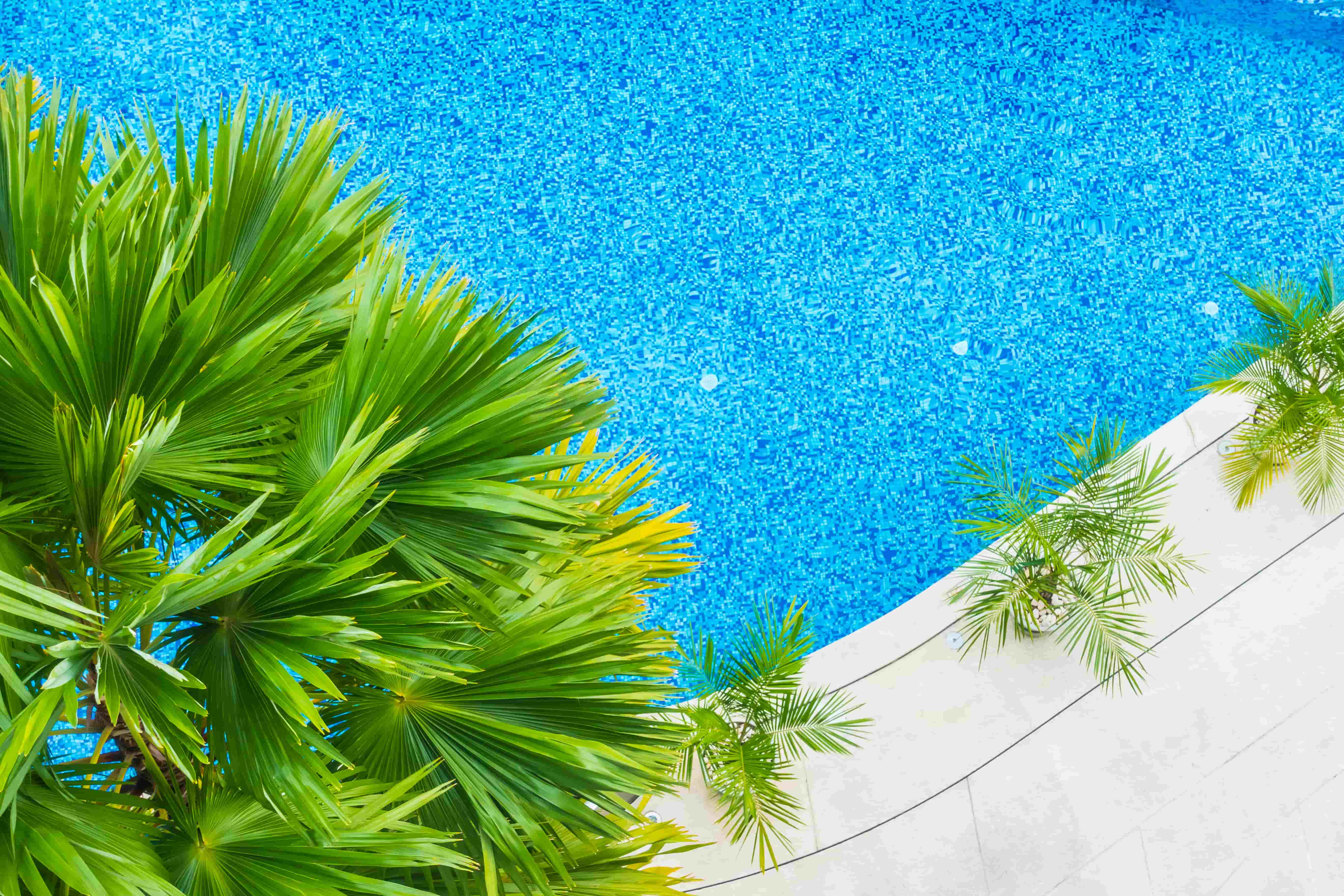 Top view of a clear blue swimming pool